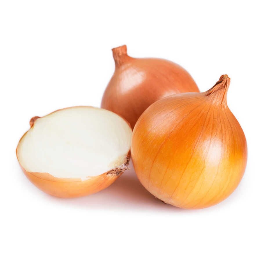Soğan