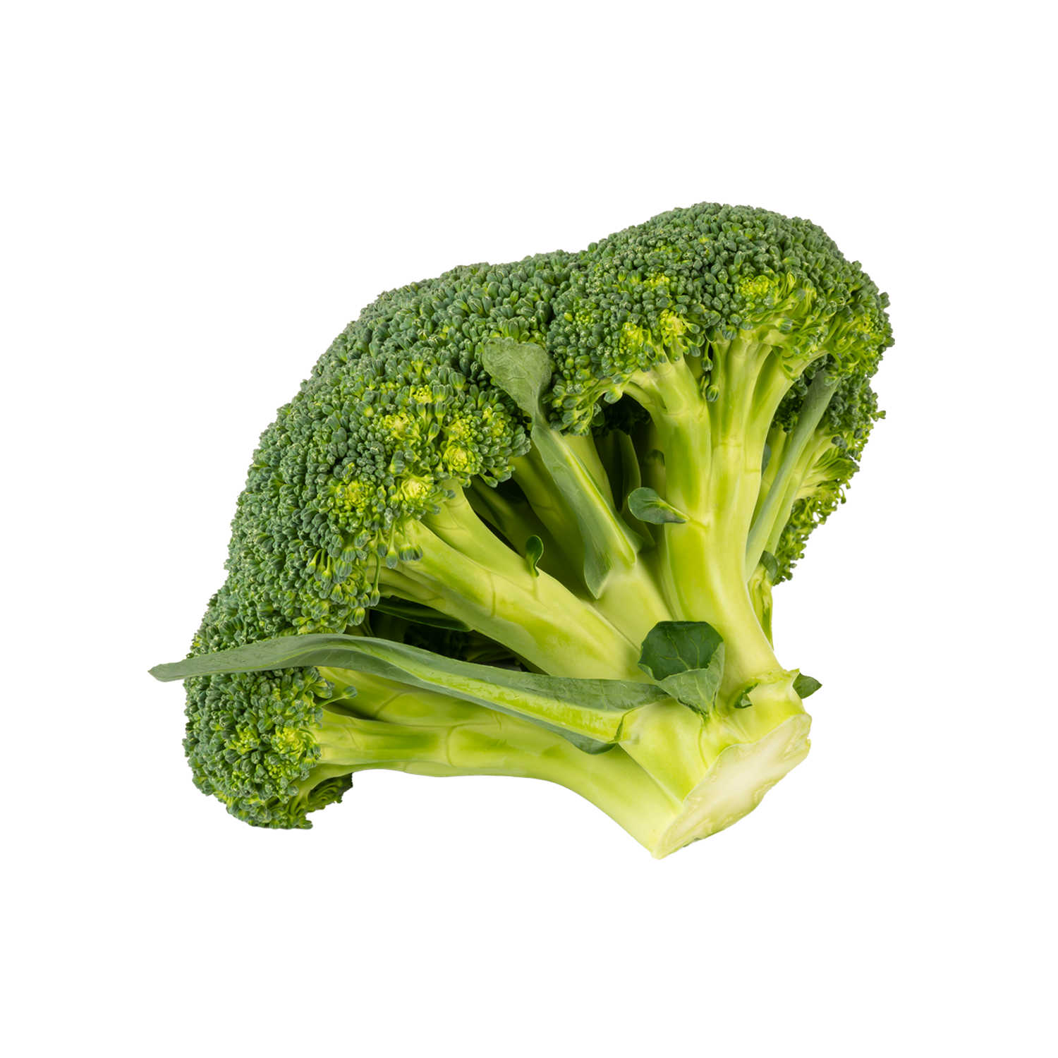 Brokoli