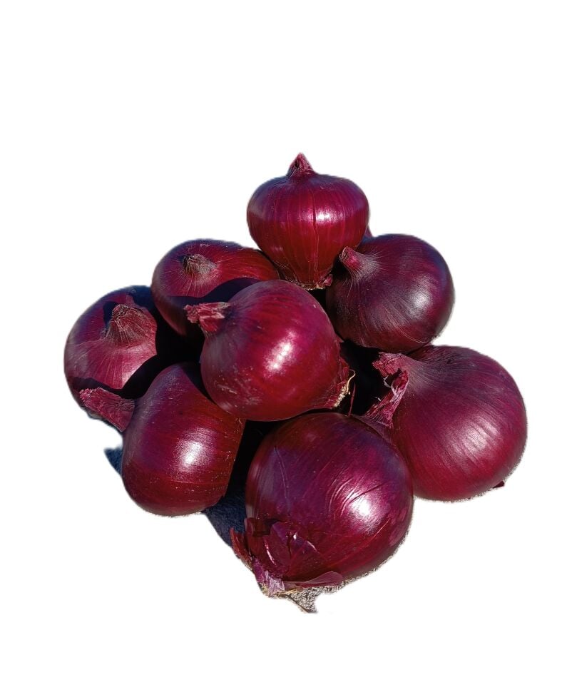 Balık Moru Soğan